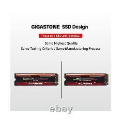 Gigastone Enterprise 2TB NAS SSD 24/7 Turbo Speed Cache for Business Server P